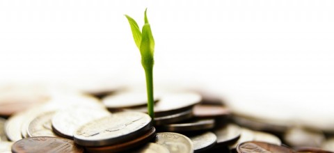 Grow-your-business